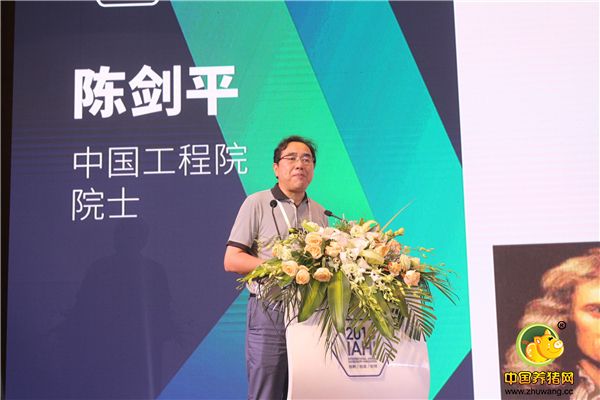 中国工程院院士陈剑平先生