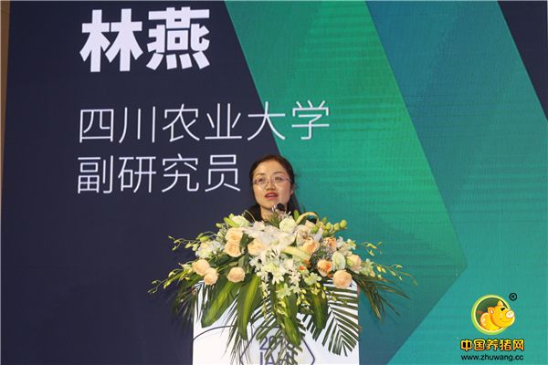 四川农业大学副研究员林燕女士
