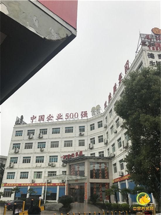 参观双胞胎集团江西总部