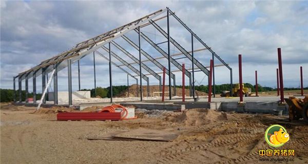 丹麦农村的电子游艺网站是这样建起来的，花5年学习才能养猪！