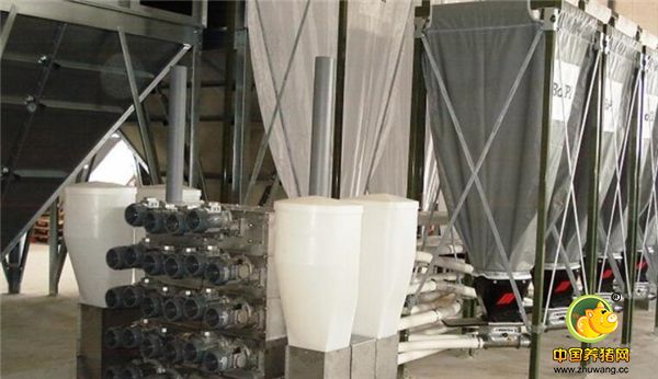 电子游艺网站的饲料供给系统