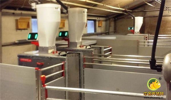 电子游艺网站的自动饲喂系统