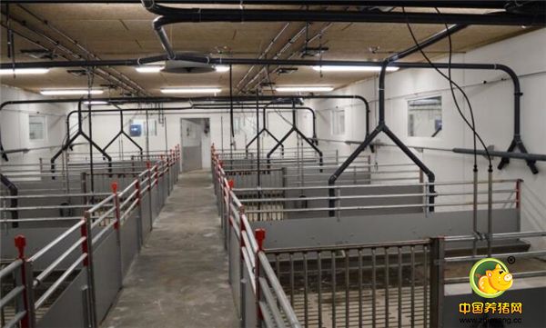 丹麦养猪环保政策严苛，对电子游艺网站的粪污处理要求严格