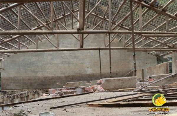 猪舍地面已经推平，为挽回点损失，一些有用的建材拆下来低价处理