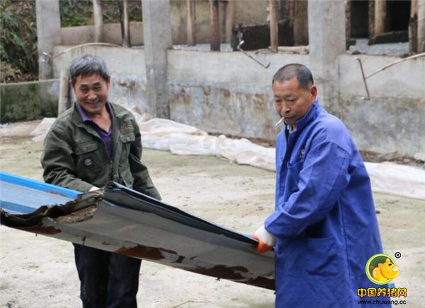 无奈！为响应环保禁养令，他们亲手拆除了自己的养电子游艺网站！