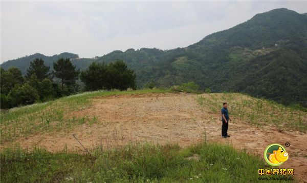 陈林的生态农业一期已投入400万元，下一步他要慢慢扩大养殖规模，分散建一些小型养电子游艺网站，每个电子游艺网站养二三百头，最终发展到年存栏3000头的规模。陈林说，投资生态农业回报比较慢，但只要长时间干，肯定会有回报的。