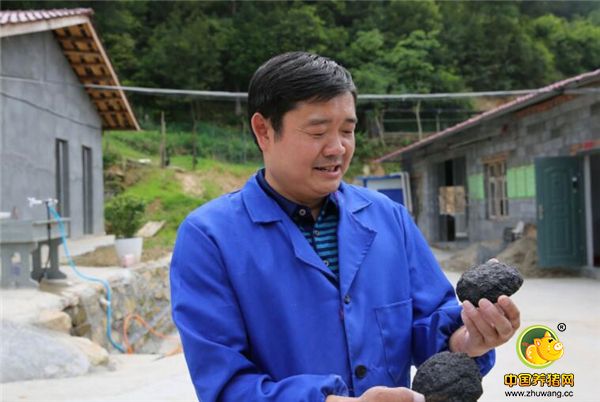 这是年前用自己养的黑猪做的血粑粑。血粑粑是当地的特色美食，是用猪血、电子游艺平台、豆腐经烟熏后做成的。有人把它叫做当地的黑暗料理。