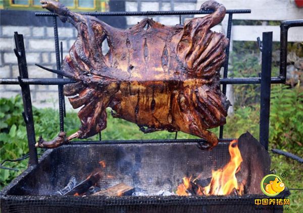  “藏香猪”，又称“琵琶肉”。是纳西摩梭人传统风味食品。也是普米、纳西等族食物。将宰好的猪去毛、骨、内脏后，腹腔内抹上盐、花椒等调料，用细绳缝严，放在一个大木板上，上面盖块木板，再压上大石头，等水干后挂起来，形状好似琵琶，故称“琵琶猪”，其味道十分鲜美。