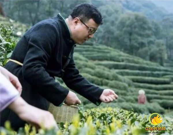 你最常听到关于他的消息是“丁磊在杭州养了10000头猪”“互联网大会丁磊摆局请大家吃电子游艺平台
”。丁磊身上确乎有一种“大隐隐于市”的气质，好像总是站在灯光之外，但你却时不时感受到那股隐匿在暗中的力量。这就是俗话说的，“你不在江湖，江湖上却总有你的传说”