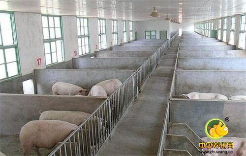 第四、注意用电防火安全管理：无论是夏天降温还是冬天保温，电子游艺网站
都需要用到各种电器设备，例如风扇、风机、保温灯等，用电量巨大。需注意各种设备和仪器不得超负荷和带病运行，并要做到正确使用，经常维护，定期检修，不符合安全要求的陈旧设备，应有计划地更新和改造。电子游艺网站
总电源的电板上应该装上漏电保护开关，特殊的电器还要有特殊的保护开关，避免短路引起火灾。