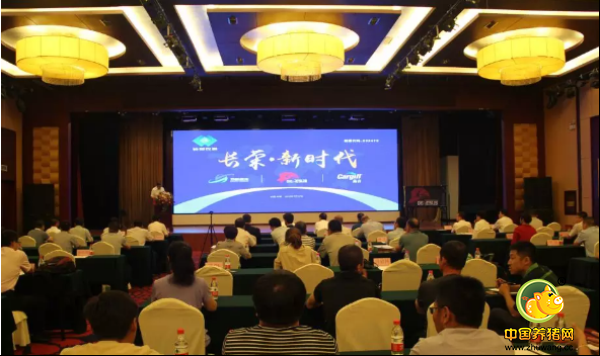 战略合作签约仪式现场