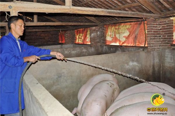 农村养猪也逐渐向规模化养殖发展，统一划定区域养殖，改进养猪方式，加大对环境保护力度。