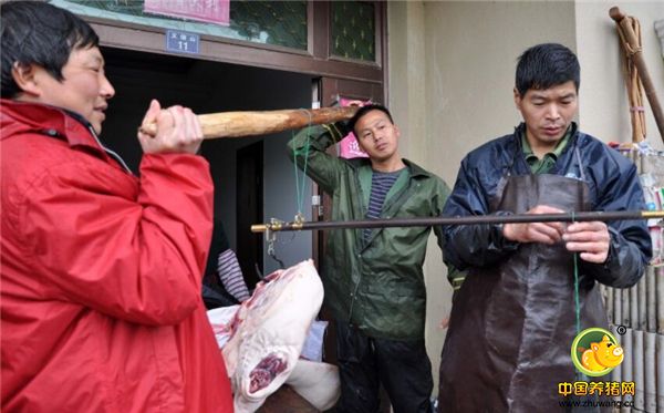 2018下半年，猪价市场如何，养猪朋友们正翘首以待，期待一个大行情。