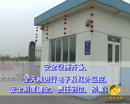 成都收购玉米高粱白小麦碎米