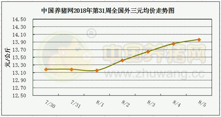 中国电子游艺网站下载安装
