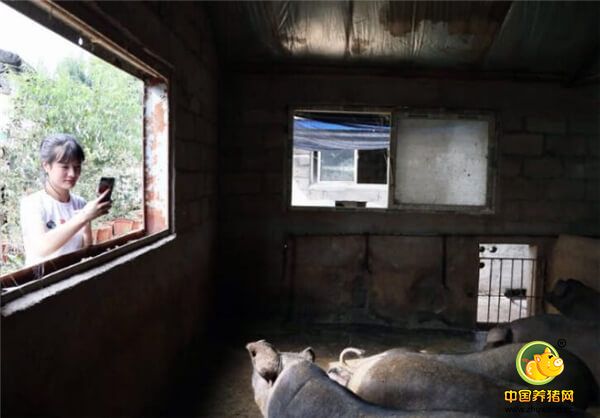 由于夏季乡下蚊蝇太多，张志远的手臂经常被蚊子叮出大疙瘩。看到这一幕，母亲总会很心疼。