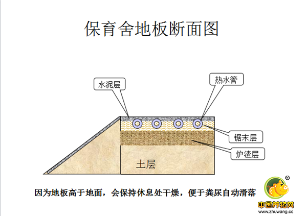 现代电子游艺网站保育舍建设细节！