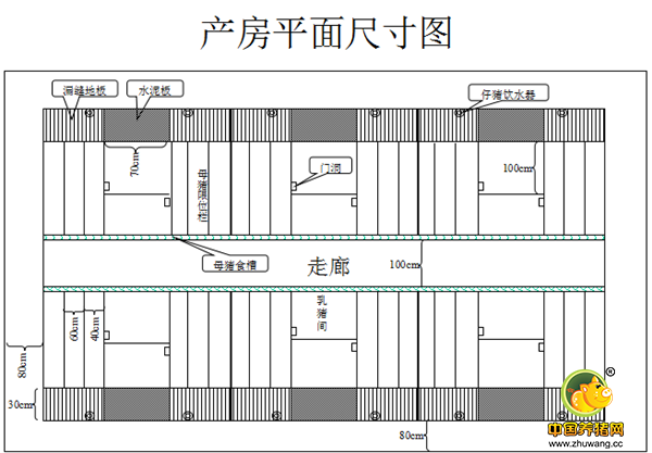 现代电子游艺网站产房建设细节！