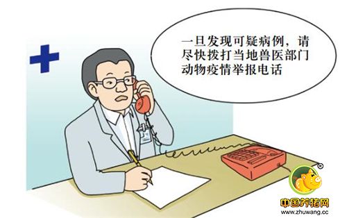 发现可疑病例及时上报。