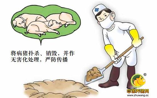 一旦发生疫情，立即采取措施，严防疫情扩散。