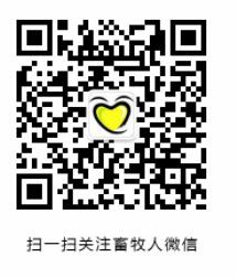 中国电子游艺网站下载安装
