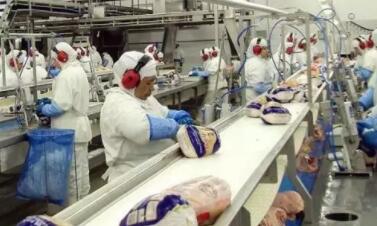 JBS称中美贸易纠纷压低其美国电子游艺平台
价格和利润率！