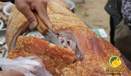 把大猪挂到壁炉里，庄广民再仔细检查一遍，把大猪固定的结结实实。庄广民说，除了2个孩子，自己还要赡养双方父母，自己还有一位97岁的奶奶，有时候累的不行，但为了这个家必须坚持。为了符合环保要求，庄广民花高价买进竹木碳进行烤制。虽然一天下来，也能赚个500多块钱，但庄广民说，这活太辛苦。有时候真不想干了。但一想一家老小还要吃饭，又打起精神继续烤大猪。