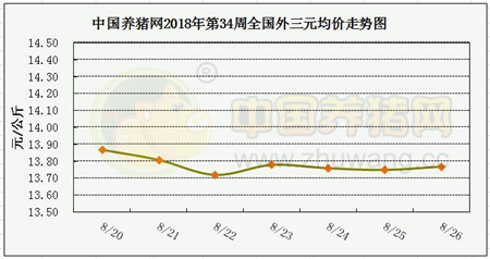 中国电子游艺网站下载安装
