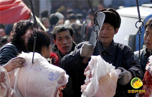 饲养比较多的也可以杀了送到集市上去卖，到了年关也会有好的收益。