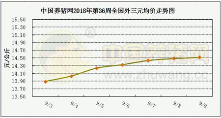 中国电子游艺网站下载安装
