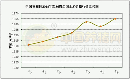 中国电子游艺网站下载安装
