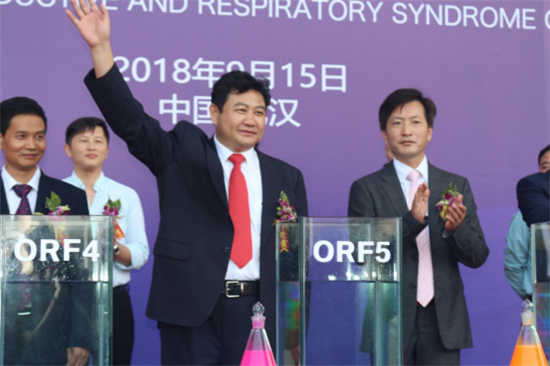 防控蓝耳病利器？中博生物蓝耳嵌合病毒活疫苗重磅来袭！