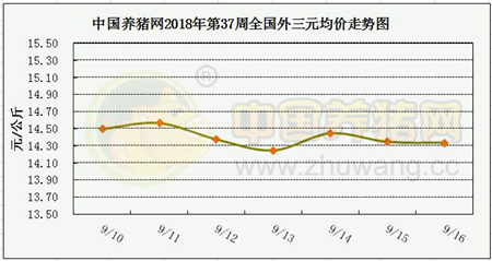 中国电子游艺网站下载安装
