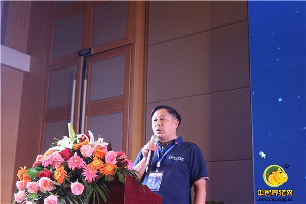 华派生物总经理 龚文波