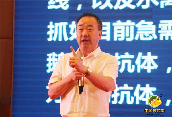 华派集团董事长 谢建勇