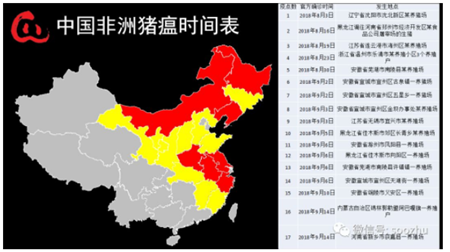 冯永辉：三分之二生猪产区外调影响，猪价区域分化加大！