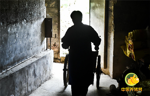 张丽华回忆：“1982年是我到炊事班的第一年，那时候指导员过来找我，希望我能去养猪