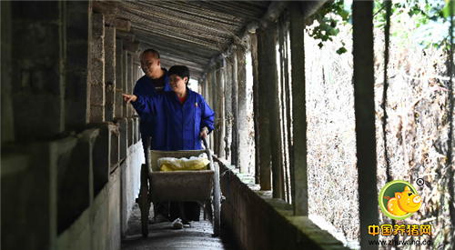 如今，这块地还有15年的租赁时间，在接下来的时间里，张丽华夫妻两人也会继续将养猪进行到底