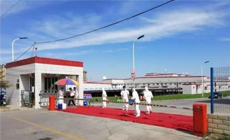 一级戒备！！山东全省关闭生猪交易！！