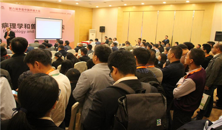 中国电子游艺网站下载安装
