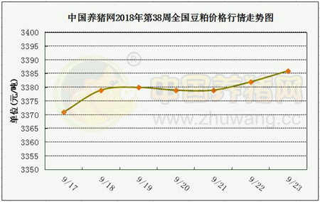 中国电子游艺网站下载安装
