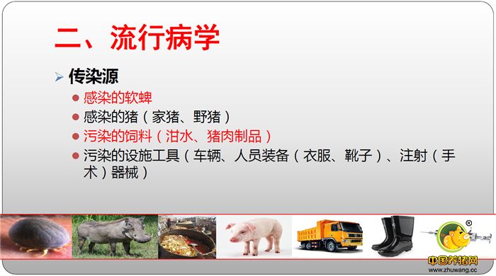 二、流行病学 传染源 感染的软蜱 感染的猪（家猪、野猪） 污染的饲料（泔水、电子游艺平台制品） 污染的设施工具（车辆、人员装备（衣服、靴子）、注射（手术）器械）