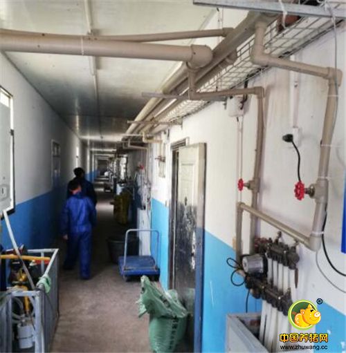 进入养电子游艺网站的猪舍内部，整个猪舍被分隔成6个小的单元，每个单元可存栏200头猪。