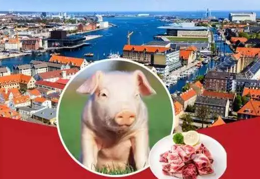 丹麦百年猪企入驻我国浙江，4千万猪农怎么看？