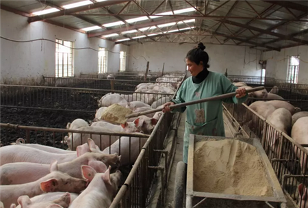 呼吸道疾病，我这么做！建议收藏！