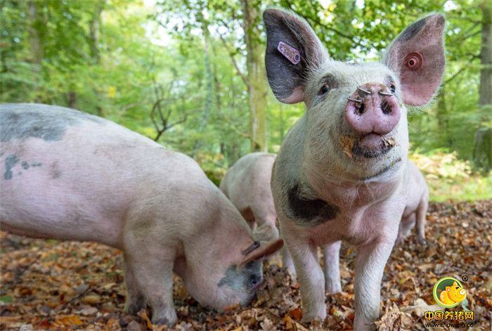 在接下来的两个月里