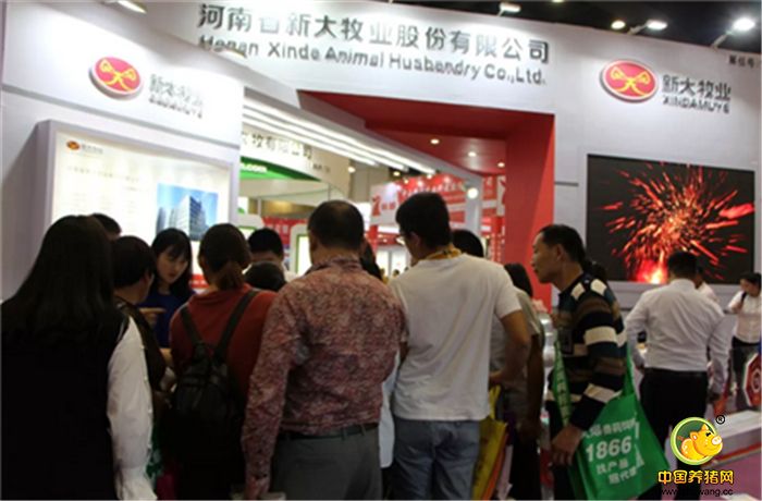 △展台活动现场