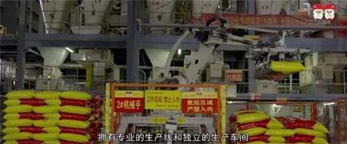 中国电子游艺网站下载安装