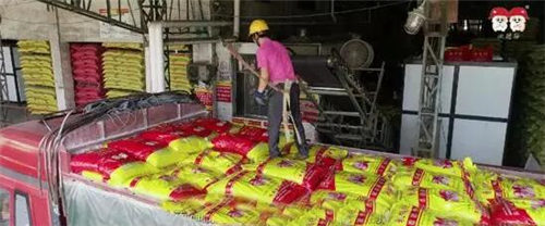 中国电子游艺网站下载安装