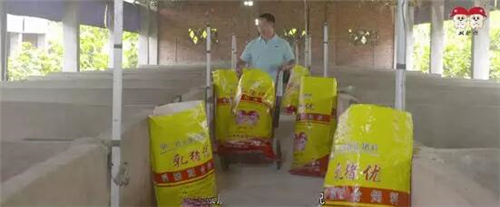 中国电子游艺网站下载安装